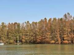 -上海海湾国家森林公园