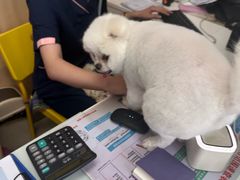 -宠福鑫康馨动物医院·骨科·眼科
