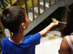 -太阳岛度假酒店