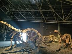 -世界恐龙谷景区