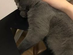 -壹人壹像工作室(购物公园店)