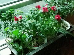 -汉唐驿-唐风美学民宿
