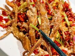 -金锅小厨(乐活街店)