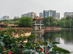 -深圳龙潭公园