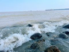 -上海吴淞炮台湾国家湿地公园