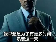 -秦君宝手擀菠菜面(金花路店)