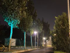 -东坝千亩湖公园