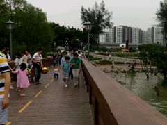 -宝安西湾红树林湿地公园