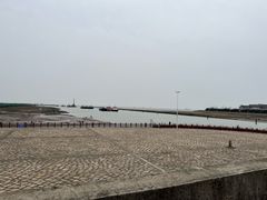 -奉贤海滩