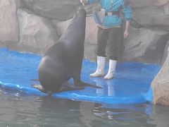 -华夏文旅海洋公园