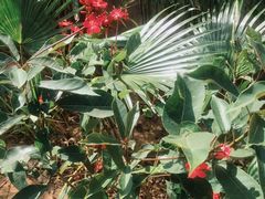 -三亚湾海居铂尔曼度假酒店