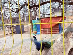 -丽泽山庄·生态怀柔菜·虹鳟鱼(红螺寺店)