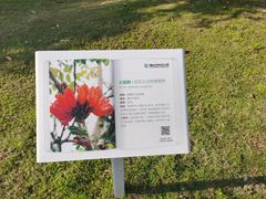 -福田红树林生态公园