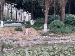 -苏州河梦清园环保主题公园