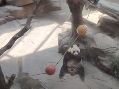 -宁波野生动物园