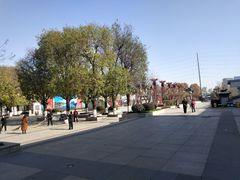 -西安汉城湖景区