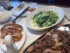 -全聚德烤鸭店(准噶尔路店)