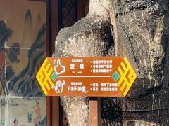 -海南槟榔谷黎苗文化旅游区