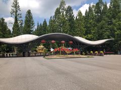 -东平国家森林公园