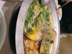 -古乐牛香鲜牛肉牛杂火锅(观前街店)
