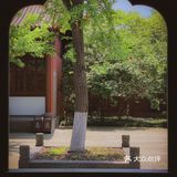 我的秘密基地‼️西湖边有个沒人知道的神仙地‼️