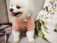 -Peet's Coffee皮爷咖啡(德基店)