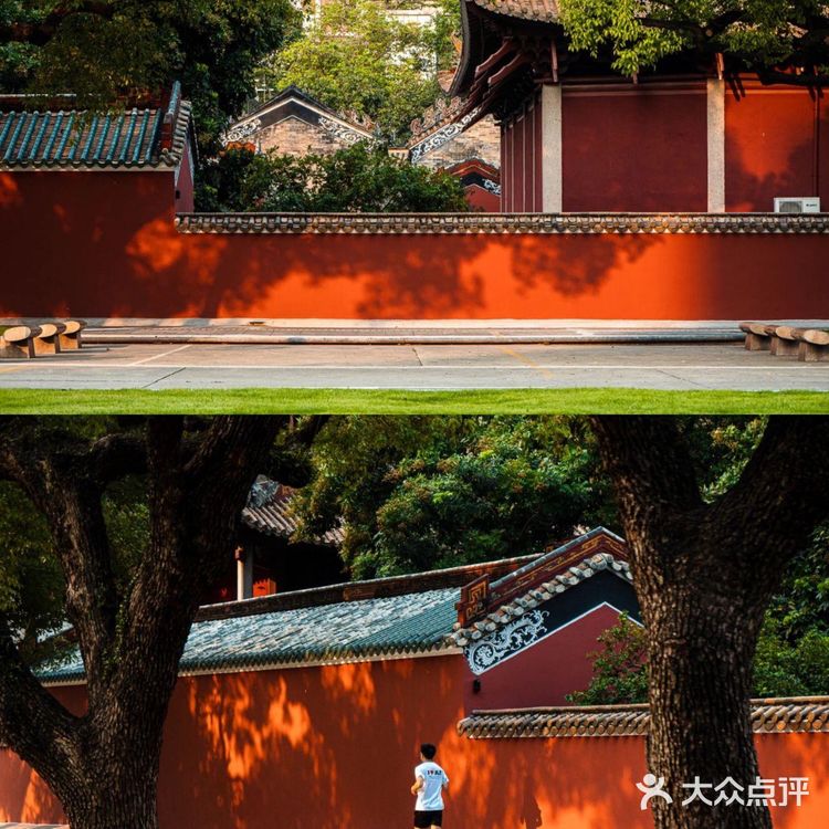 广州本地人去哪玩｜8个适合散步的公园