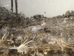 -金滏山烤肉·海鲜·火锅自助餐厅(襄阳万达店)