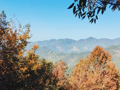 -广州市石门国家森林公园