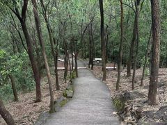 -榴花公园