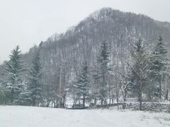 -西安祥峪森林公园