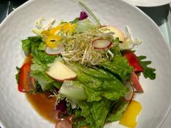 -大鸭梨烤鸭(望京店)