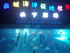 -泉城欧乐堡海洋极地世界
