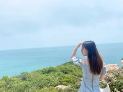 -广东惠东海龟国家级自然保护区