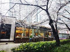 -玛格萝妮比萨屋(四平店)