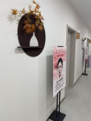 -北京京通医院医疗美容