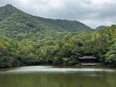 -杭州半山国家森林公园