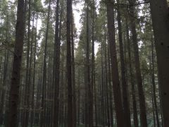 IMG_5771-上海怡沁园度假酒店