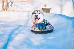 -优沃得自然教育农场·冰雪乐园·生日会·研学