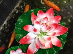 -勝記酒家·37年老字号·经典粤菜(荔枝公园店)