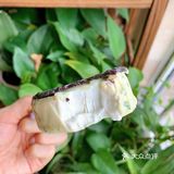 奥利奥香葱雪糕？