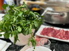 -潮汕美牛肉丸火锅店(天宁寺店)