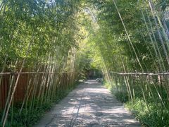 -新荣记(西溪湿地店)