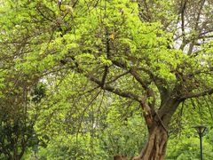 -沙河三洞古桥公园