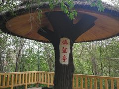 -水磨沟公园