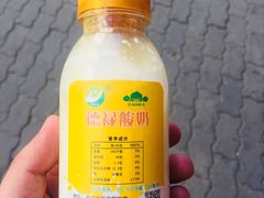 -德禄酸奶(莫家街店)