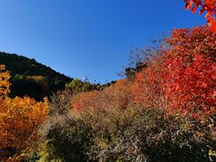 -香山公园