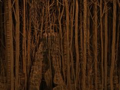 -金泽21世纪美术馆