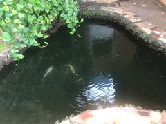 -侯臣咖啡文化村