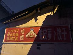 -半月镰胡姐脆皮萝卜饺子